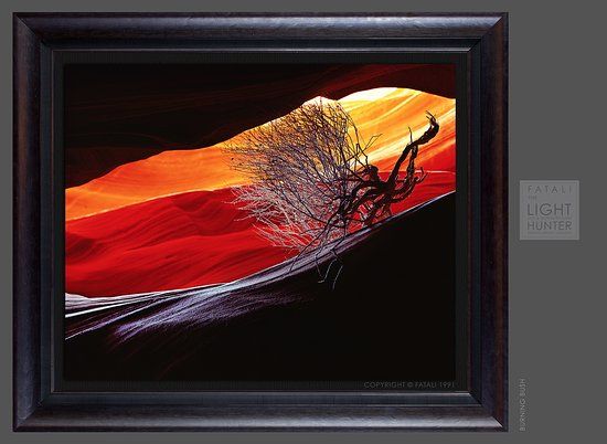 Fatali Gallery